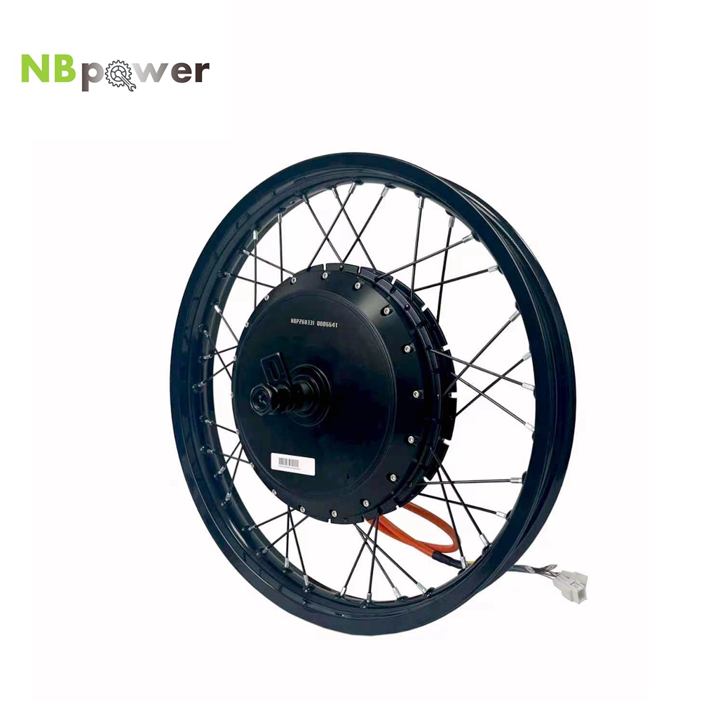 NBpower/170mm Dropout QS 273 4 - Qs Motor 273 8000W Hub Motor review and price