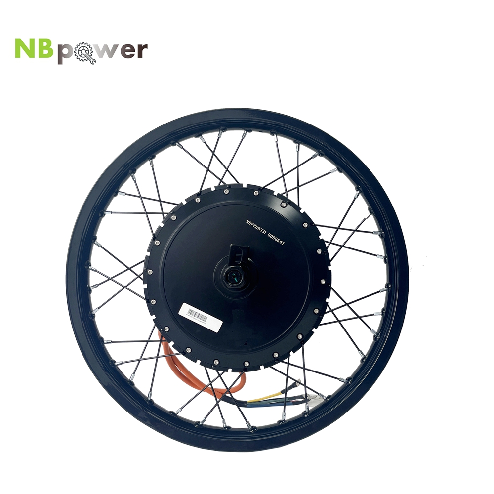 NBpower/170mm Dropout QS 273 4 - Qs Motor 273 8000W Hub Motor review and price